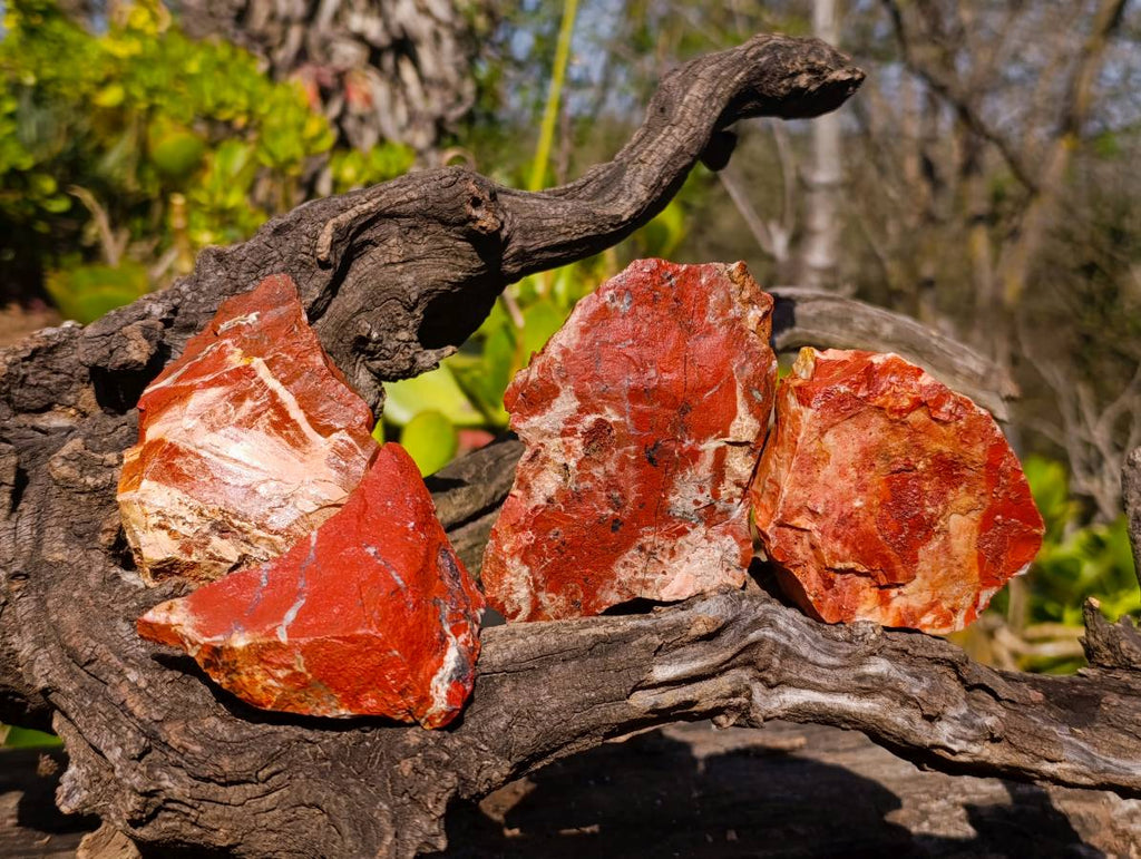Natural Brecciated Red Jasper Cobbed Specimens x 24 from South Africa - Toprock Gemstones and Minerals 