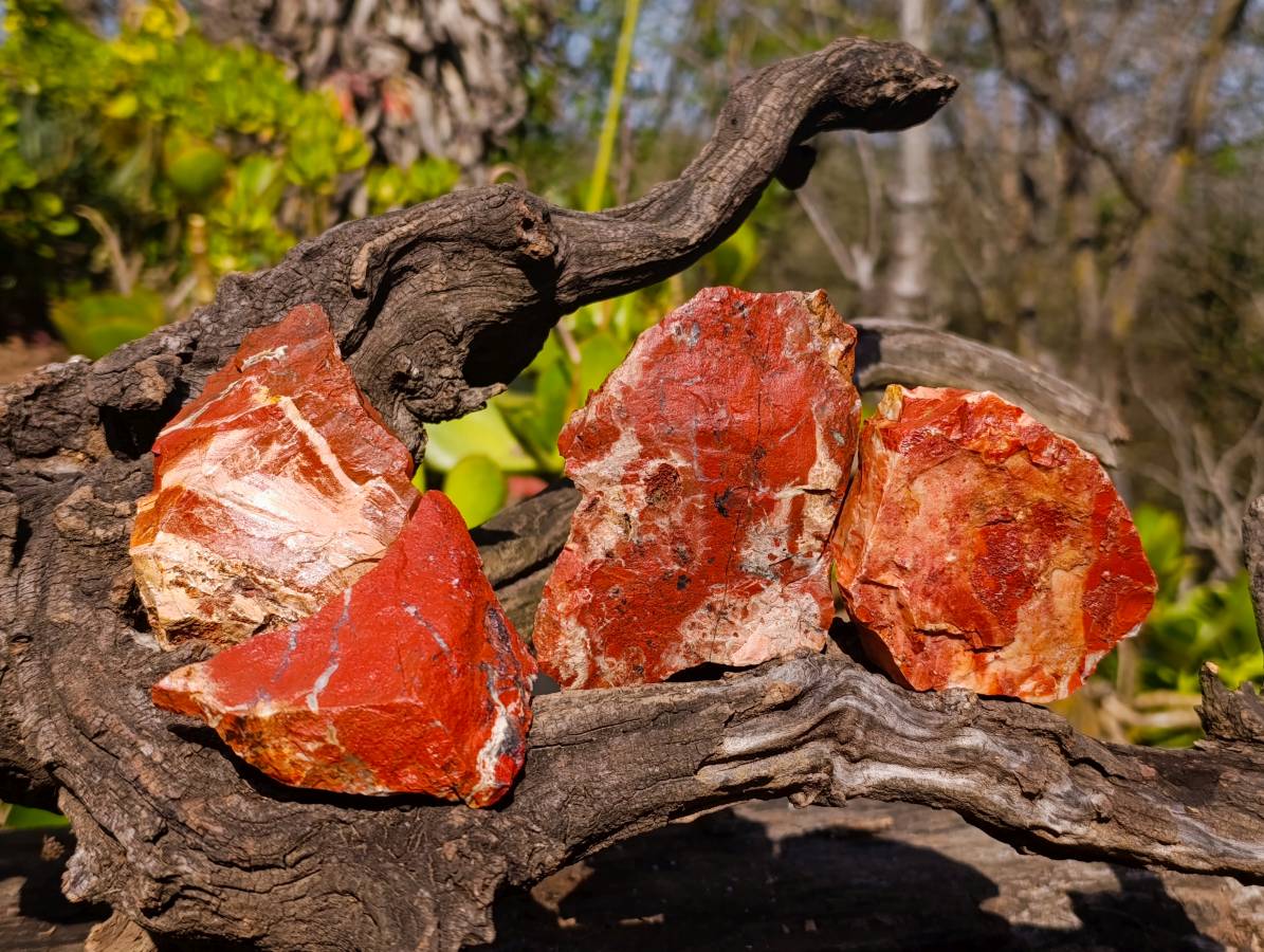 Natural Brecciated Red Jasper Cobbed Specimens x 24 from South Africa - Toprock Gemstones and Minerals 