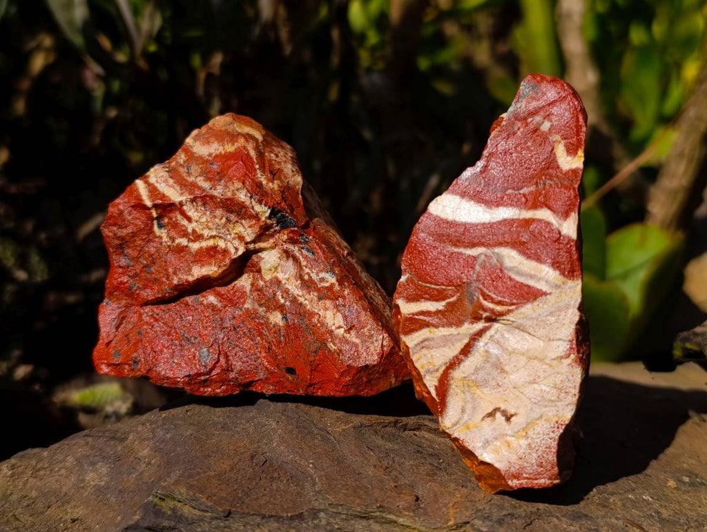 Natural Brecciated Red Jasper Cobbed Specimens x 24 from South Africa - Toprock Gemstones and Minerals 