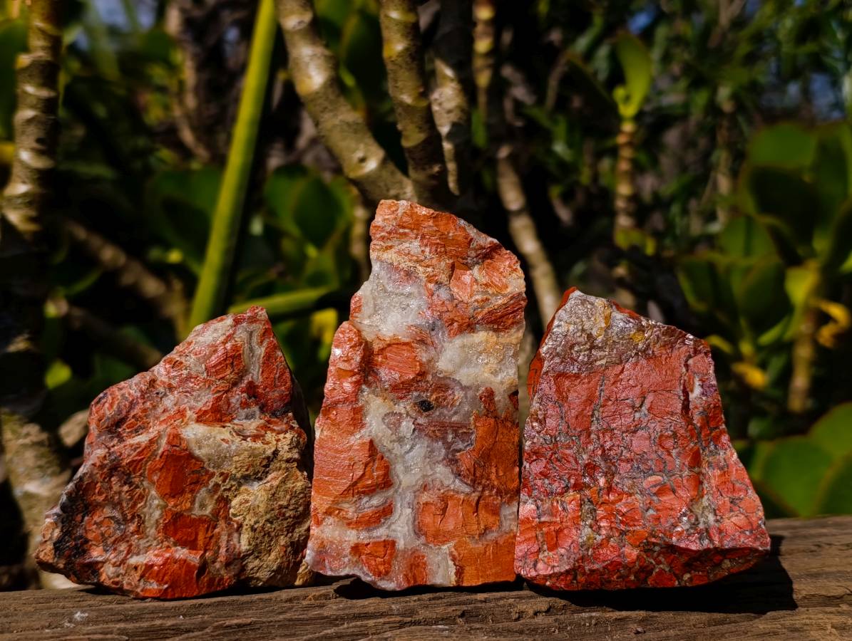 Natural Brecciated Red Jasper Cobbed Specimens x 24 from South Africa - Toprock Gemstones and Minerals 