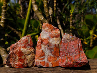 Natural Brecciated Red Jasper Cobbed Specimens x 24 from South Africa