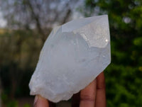 Natural Quartz Crystals x 12 From Madagascar