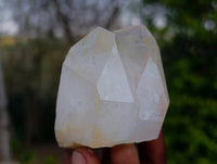 Natural Quartz Crystals x 12 From Madagascar