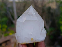 Natural Quartz Crystals x 12 From Madagascar