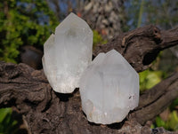 Natural Quartz Crystals x 12 From Madagascar