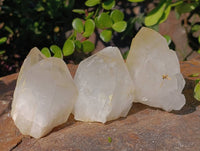 Natural Quartz Crystals x 12 From Madagascar