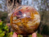 Polished Petrified Wood Branches and Sphere x 3 From Gokwe, Zimbabwe