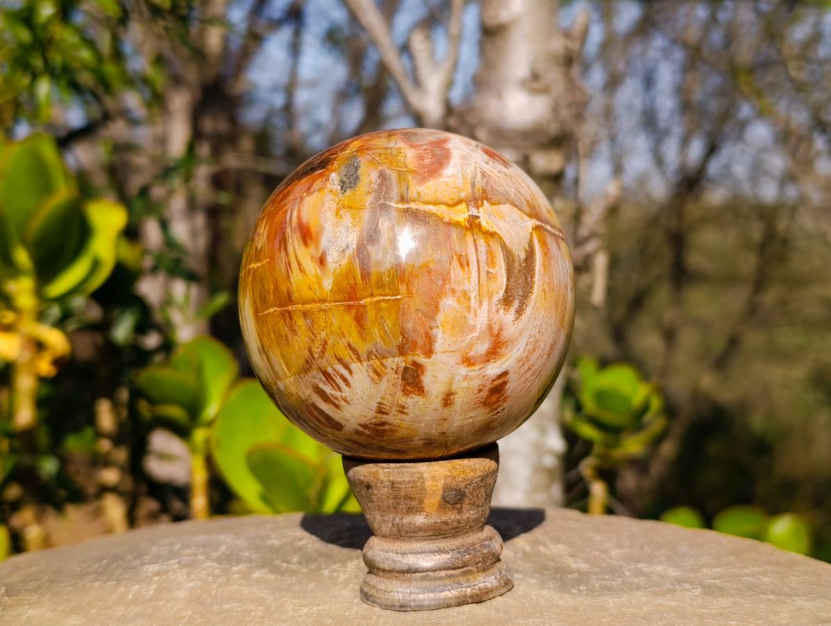 Polished Petrified Wood Branches and Sphere x 3 From Gokwe, Zimbabwe - Toprock Gemstones and Minerals 