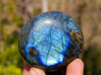 Polished Labradorite Palm Stones x 20 From Tulear, Madagascar - Toprock Gemstones and Minerals 