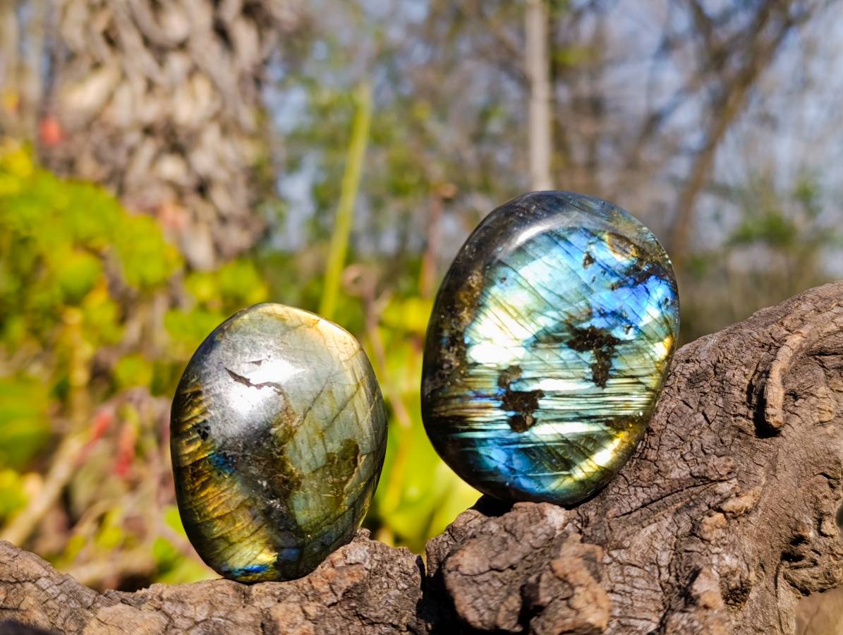Polished Labradorite Palm Stones x 20 From Tulear, Madagascar - Toprock Gemstones and Minerals 
