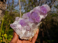 Natural Jacaranda Amethyst Clusters x 2 From Zambia