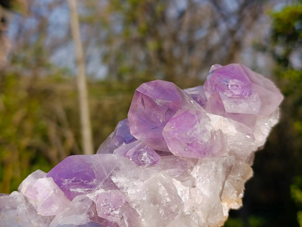 Natural Jacaranda Amethyst Clusters x 2 From Zambia - Toprock Gemstones and Minerals 