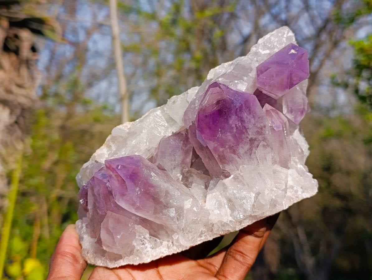 Natural Jacaranda Amethyst Clusters x 2 From Zambia - Toprock Gemstones and Minerals 