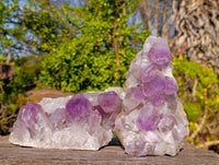 Natural Jacaranda Amethyst Clusters x 2 From Zambia