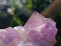 Natural Jacaranda Amethyst Clusters x 2 From Zambia