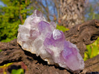Natural Jacaranda Amethyst Clusters x 2 From Zambia - Toprock Gemstones and Minerals 