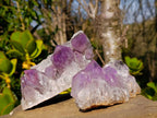 Natural Jacaranda Amethyst Clusters x 2 From Zambia - Toprock Gemstones and Minerals 