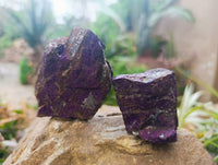 Natural Metallic Purpurite Specimens x 12 From Erongo, Namibia