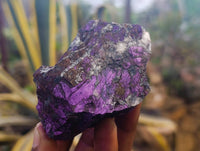 Natural Metallic Purpurite Specimens x 12 From Erongo, Namibia