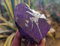 Natural Metallic Purpurite Specimens x 12 From Erongo, Namibia
