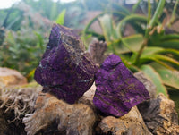 Natural Metallic Purpurite Specimens x 12 From Erongo, Namibia