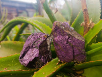 Natural Metallic Purpurite Specimens x 12 From Erongo, Namibia