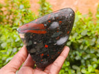 Polished Bloodstone Standing Free Forms x 3 From Swaziland - Toprock Gemstones and Minerals 