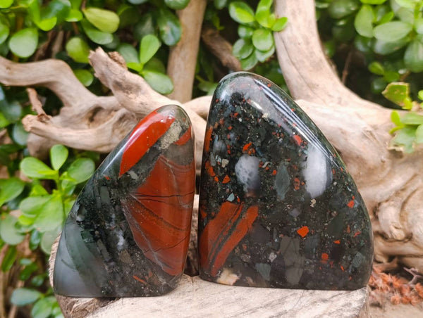 Polished Bloodstone Standing Free Forms x 3 From Swaziland