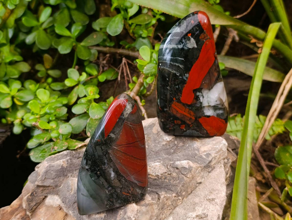 Polished Bloodstone Standing Free Forms x 3 From Swaziland - Toprock Gemstones and Minerals 