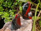 Polished Bloodstone Standing Free Forms x 3 From Swaziland - Toprock Gemstones and Minerals 