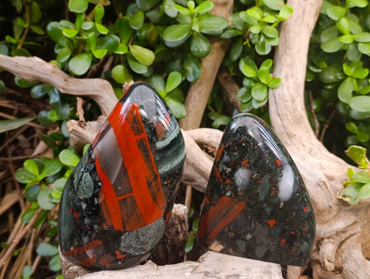 Polished Bloodstone Standing Free Forms x 3 From Swaziland - Toprock Gemstones and Minerals 