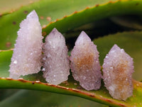 Natural Amethyst Spirit Quartz Crystals x 70 From South Africa