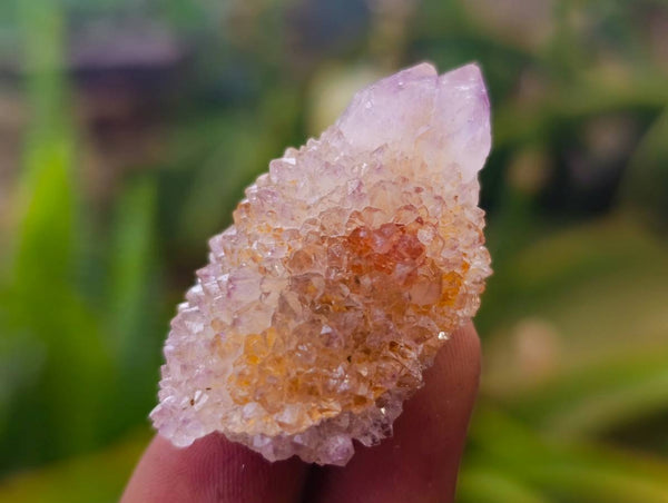 Natural Amethyst Spirit Quartz Crystals x 70 From South Africa