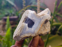 Natural Blue Lace Agate Geode Specimens x 6 From Malawi