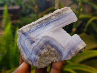Natural Blue Lace Agate Geode Specimens x 6 From Malawi