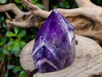 Polished Chevron Amethyst Points x 2 From Zambia