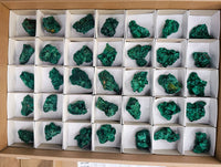 Natural Silky Malachite Specimens x 35 From Kasompe, Congo