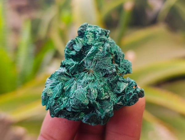 Natural Silky Malachite Specimens x 35 From Kasompe, Congo