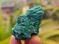 Natural Silky Malachite Specimens x 35 From Kasompe, Congo