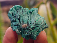 Natural Silky Malachite Specimens x 35 From Kasompe, Congo