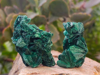 Natural Silky Malachite Specimens x 35 From Kasompe, Congo