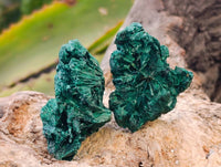Natural Silky Malachite Specimens x 35 From Kasompe, Congo