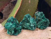 Natural Silky Malachite Specimens x 35 From Kasompe, Congo