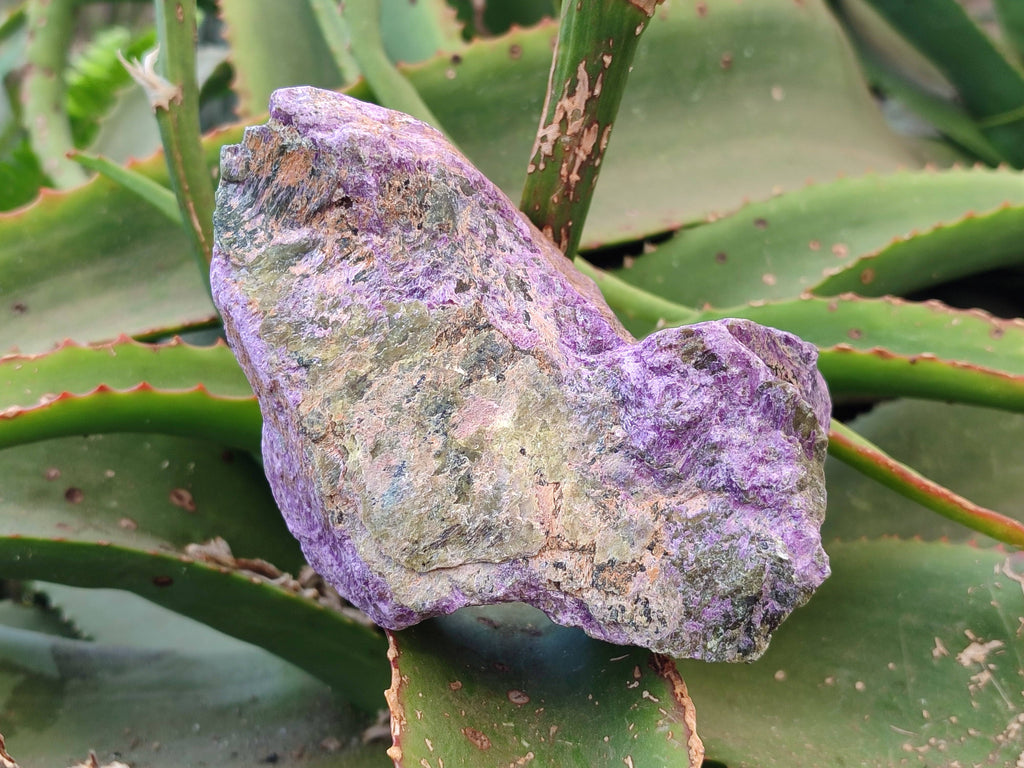 Natural Cobbed Stichtite Specimens x 3 From Barberton, South Africa - Toprock Gemstones and Minerals 