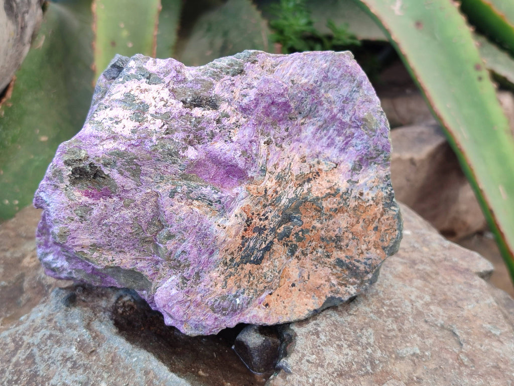 Natural Cobbed Stichtite Specimens x 3 From Barberton, South Africa - Toprock Gemstones and Minerals 