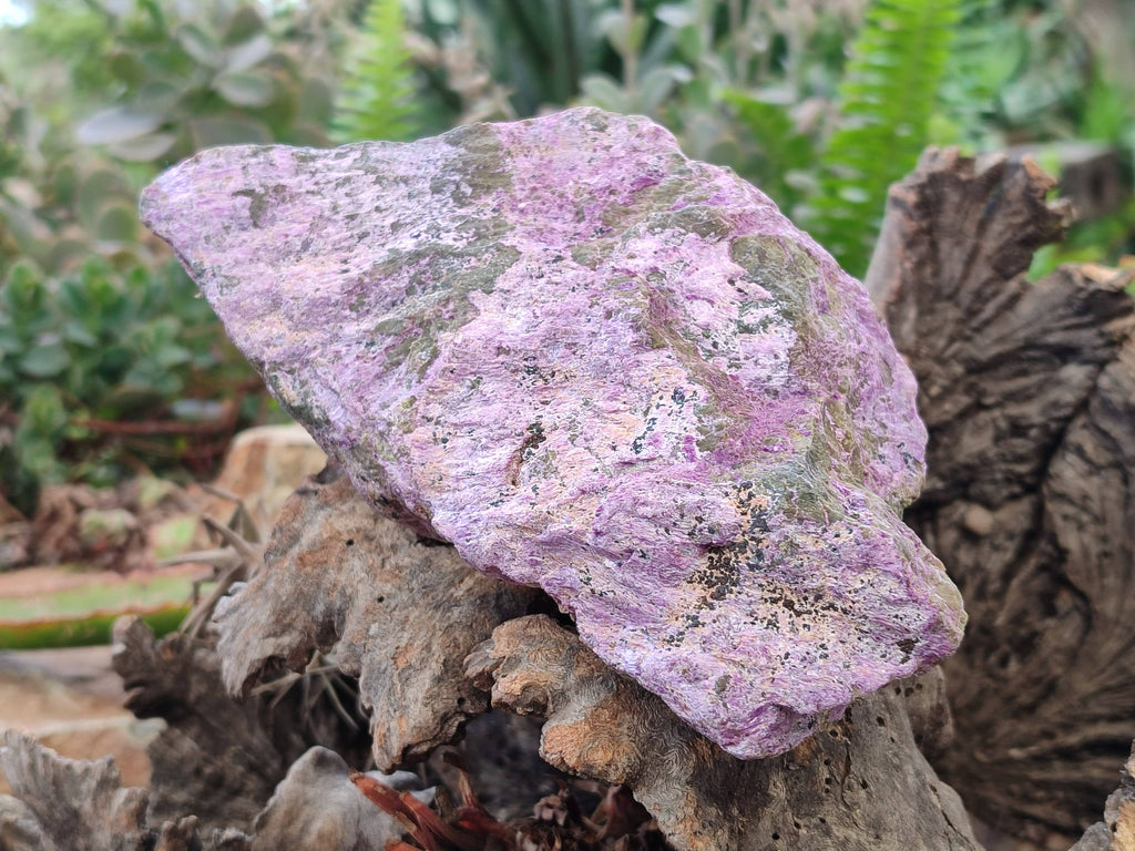 Natural Cobbed Stichtite Specimens x 3 From Barberton, South Africa - Toprock Gemstones and Minerals 