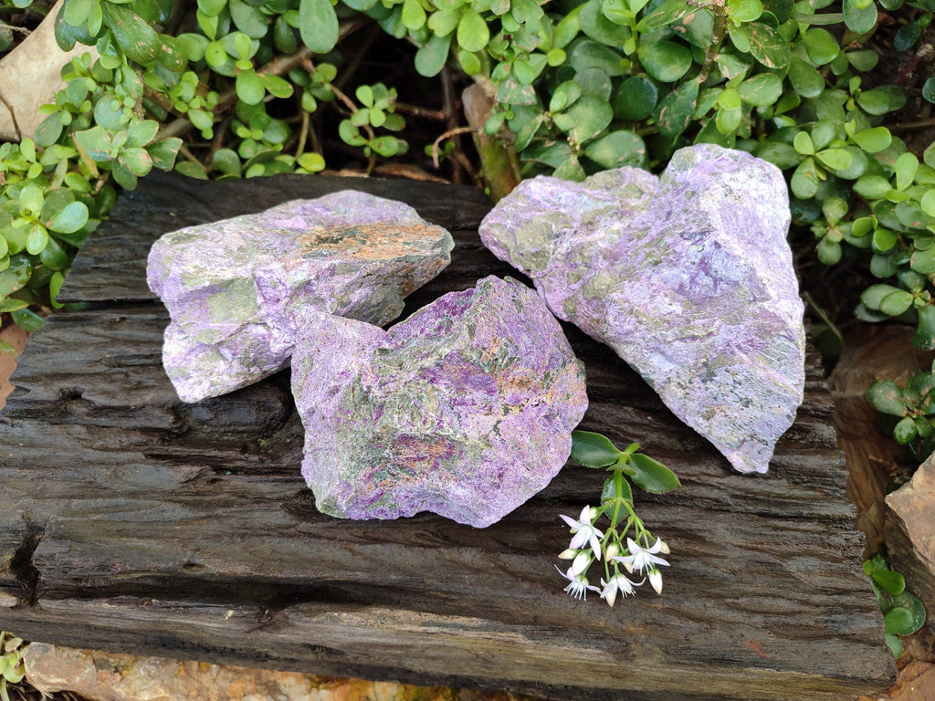Natural Cobbed Stichtite Specimens x 3 From Barberton, South Africa - Toprock Gemstones and Minerals 