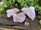 Natural Cobbed Stichtite Specimens x 3 From Barberton, South Africa - Toprock Gemstones and Minerals 