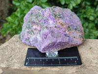 Natural Cobbed Stichtite Specimens x 3 From Barberton, South Africa - Toprock Gemstones and Minerals 
