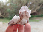 Natural Red Hematoid Quartz Crystals x 13 From Karoi, Zimbabwe - Toprock Gemstones and Minerals 